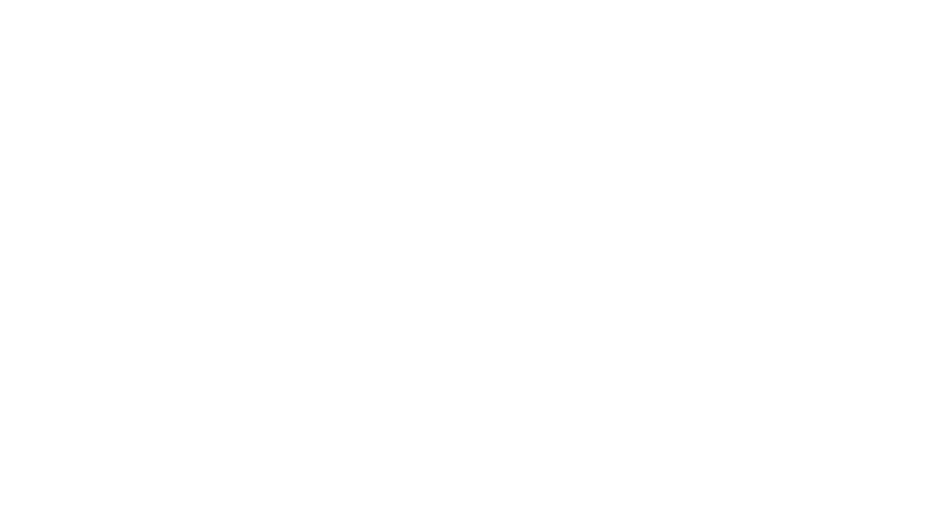 ایرانی اکسپرت